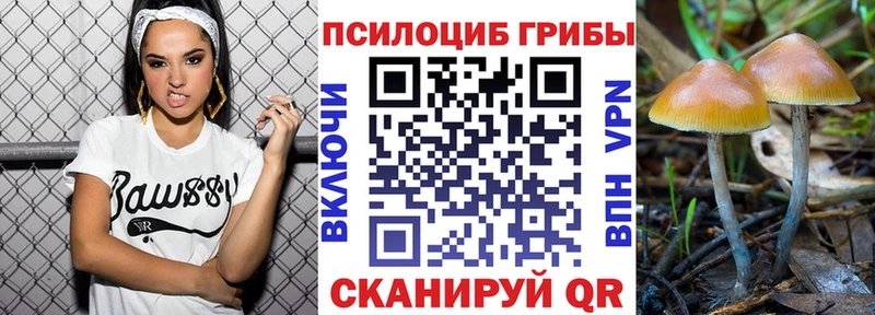 Псилоцибиновые грибы мухоморы  Купить где  Сортавала 